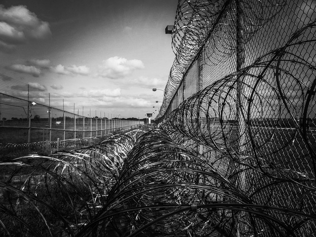 A black and white picture of the coiled razor wire found on top of a perimeter fence surrounding a jail.